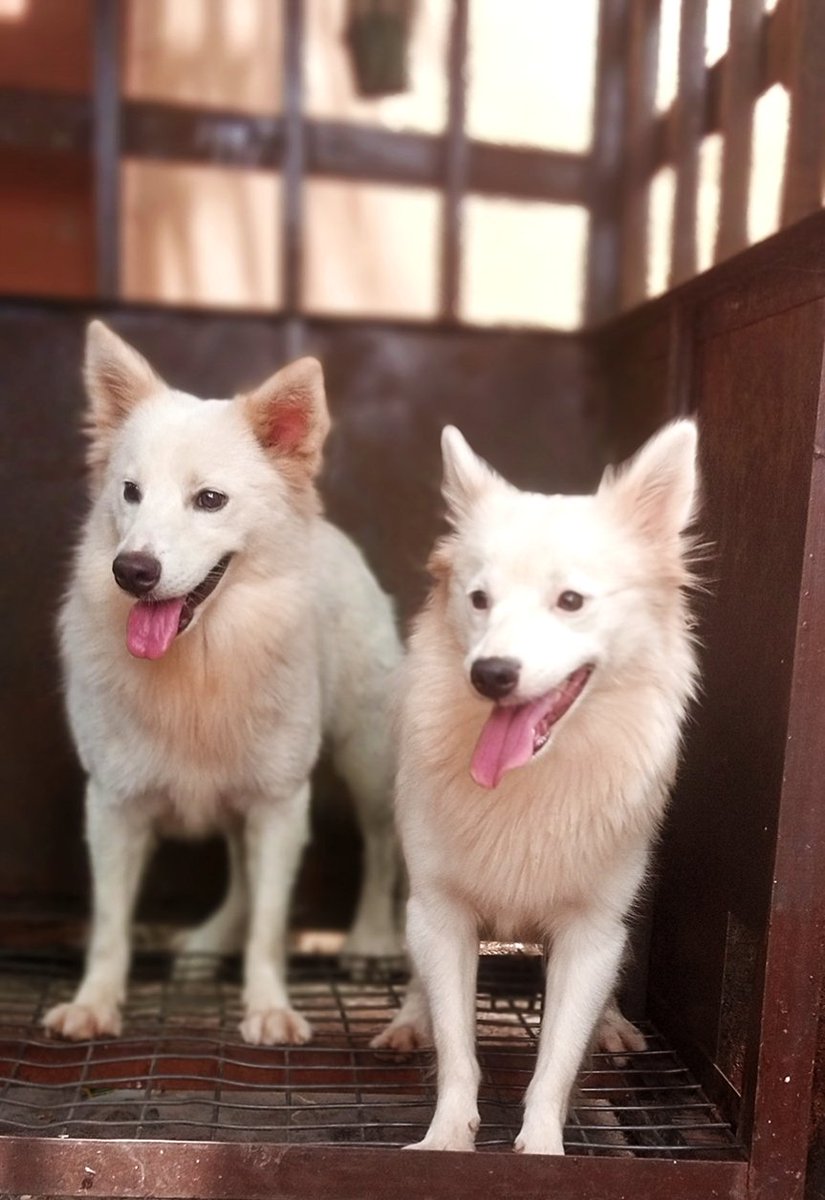 ọmọ ọba⛴️ tweet media