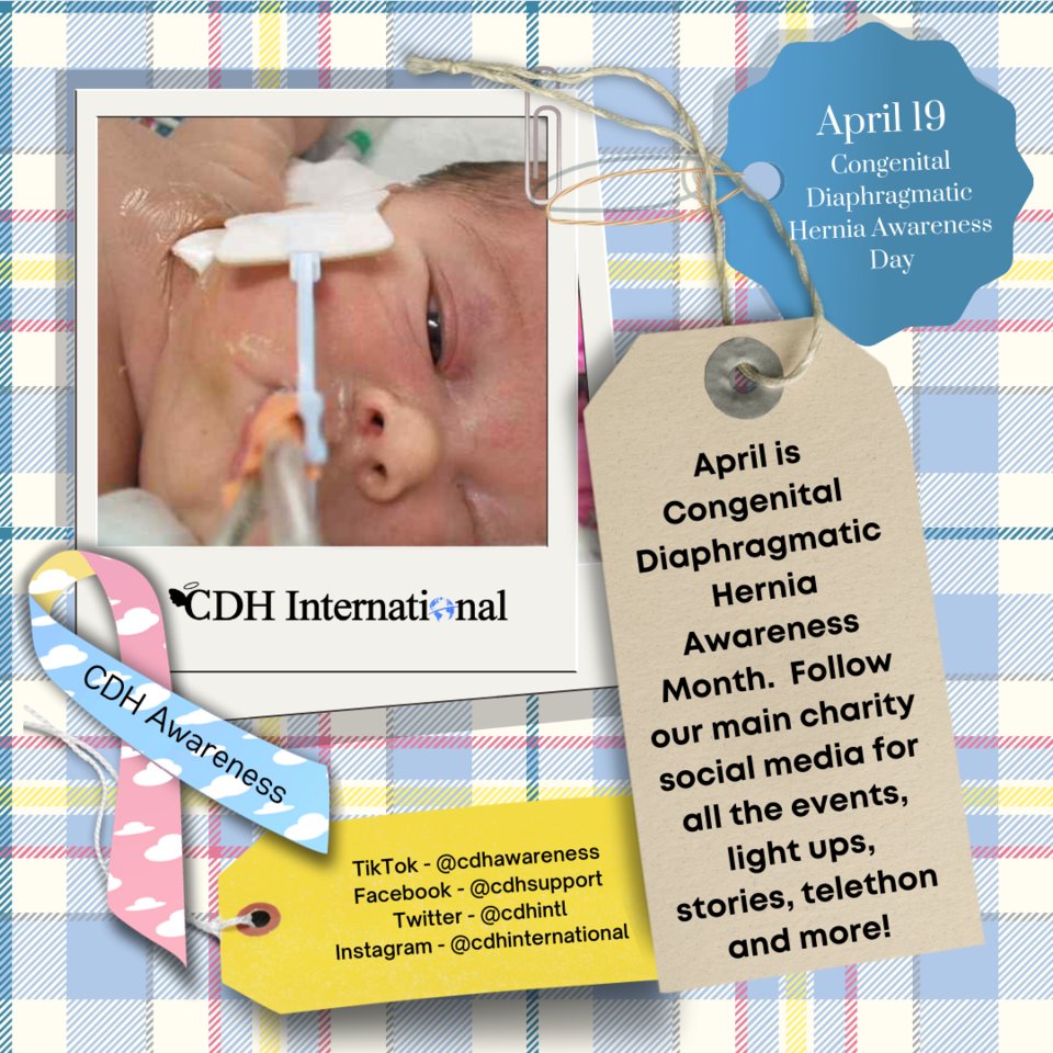 April is Global Congenital Diaphragmatic Hernia Awareness Month!

Follow our main charity social media for all the events, light ups, stories, telethon and more! 

cdhawarenessday.org

#CongenitalDiaphragmaticHernia #CDH #CDHAwareness #cdhchallenge #CDHAwarenessMonth