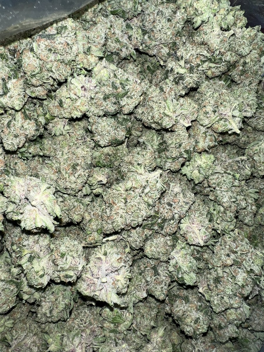 It’s legal in our state! 💯 #1 Sunshine/Glue Mix