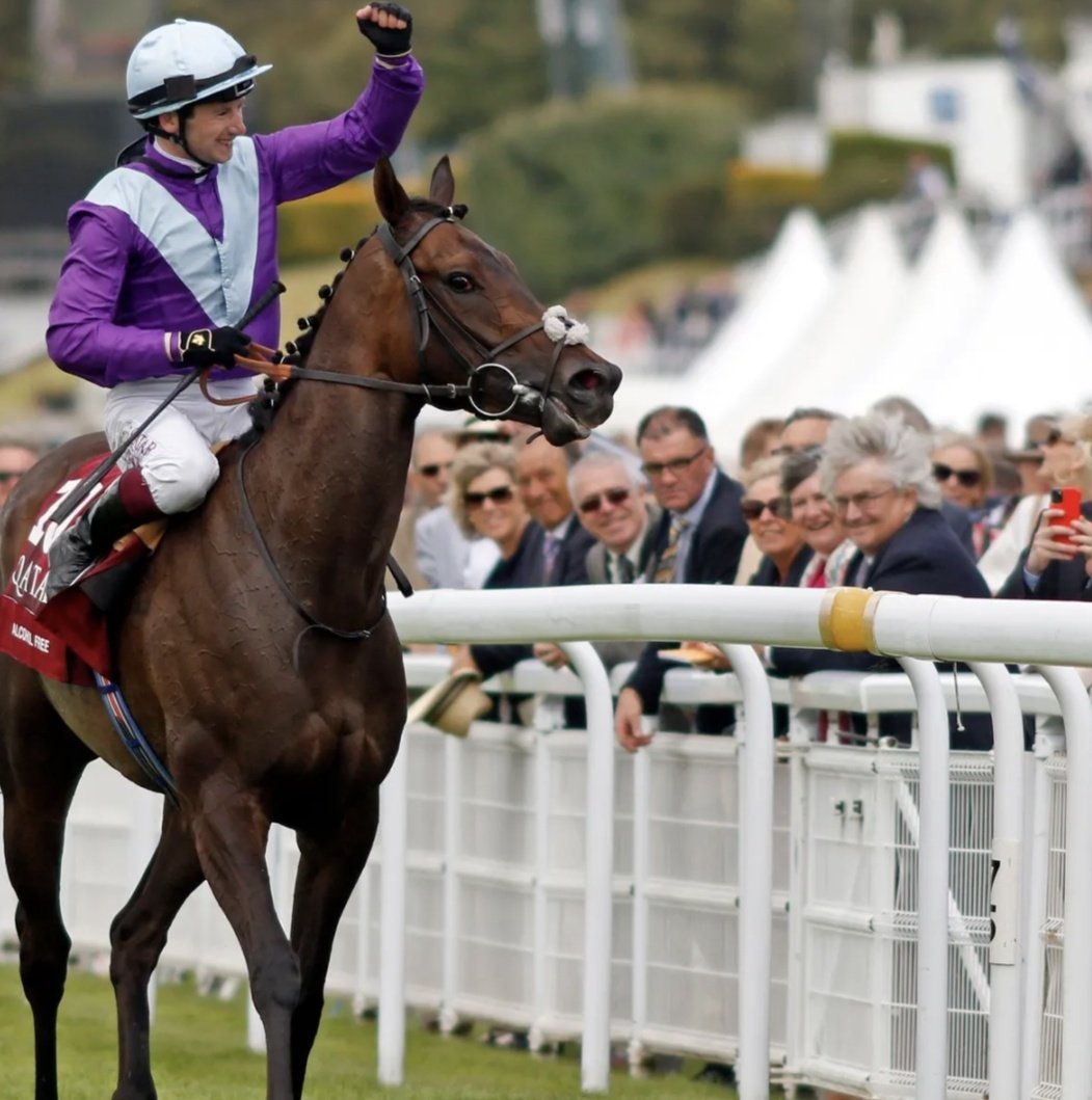 Stephen R Power (@racingblogger) on Twitter photo ๐ If ALCOHOL FREE & MOSTAHDAF both win at Sandown today I'll give ยฃ50 CASH to one of you lucky people! ๐ท
To Enter: ๐
1๏ธโฃ RT this Tweet
2๏ธโฃ Follow <a href="/racingblogger/">Stephen R Power</a>
๐ธ instagram.com/racingblogger/
#Win #Free #Horseracing ๐ ๐ If ALCOHOL FREE & MOSTAHDAF both win at Sandown today I'll give ยฃ50 CASH to one of you lucky people! ๐ท
To Enter: ๐
1๏ธโฃ RT this Tweet
2๏ธโฃ Follow <a href="/racingblogger/">Stephen R Power</a>
๐ธ instagram.com/racingblogger/
#Win #Free #Horseracing ๐
