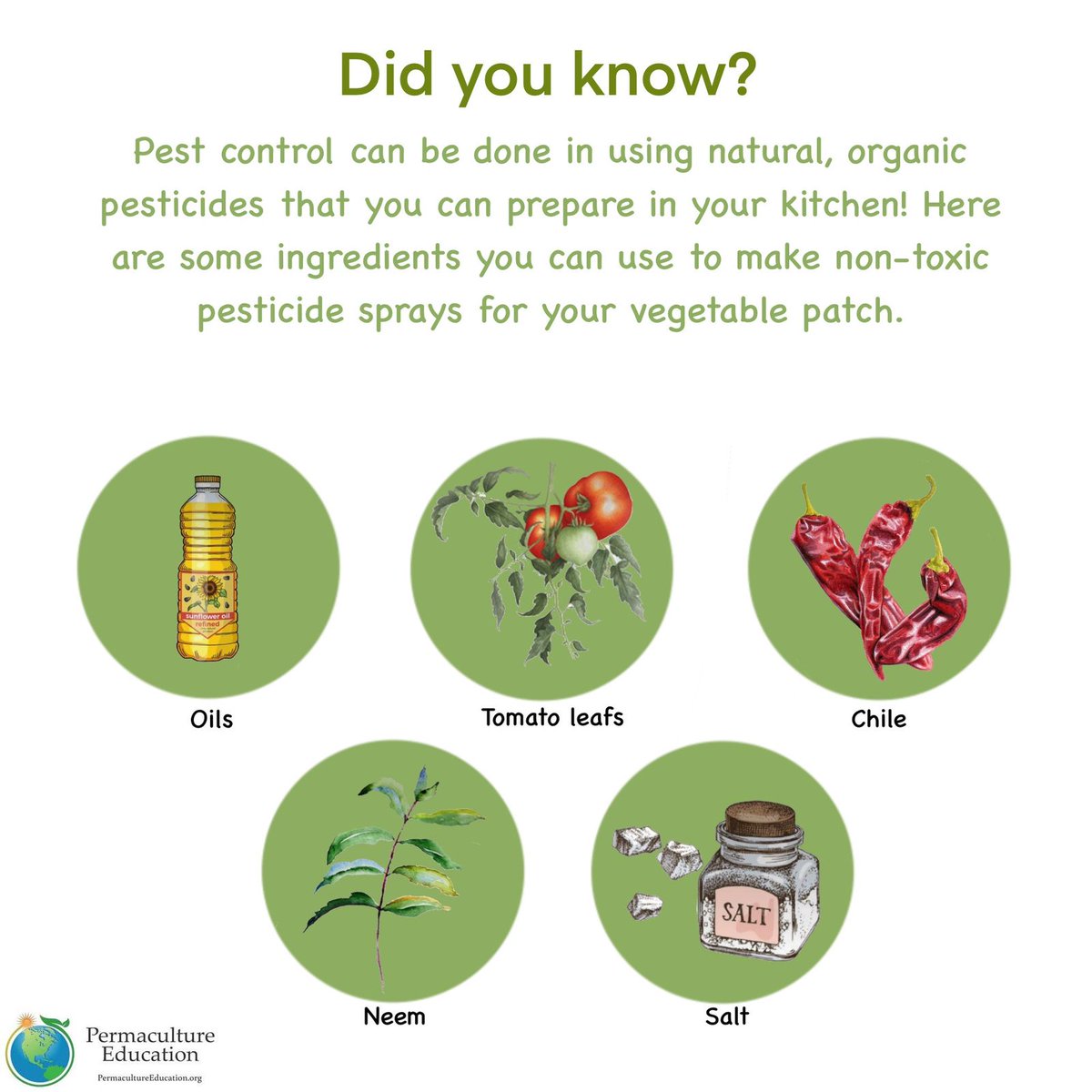 PermacultureEd1's tweet photo. Ingredients for natural pest control
#permaculture #pestcontrol #naturalpestcontrol #pesticide #organic #natural https://t.co/GBg95FjEM1