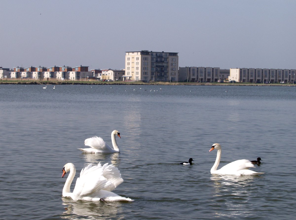 In de gemeente Bergen op Zoom gaan we op zoek naar andere duurzamere manieren van verwarmen. We werken dit jaar aan een visie hierover, de Transitievisie Warmte. We willen graag weten wat u belangrijk vindt bij deze overstap naar duurzame warmte. Enquête: bit.ly/3Ovz2O5