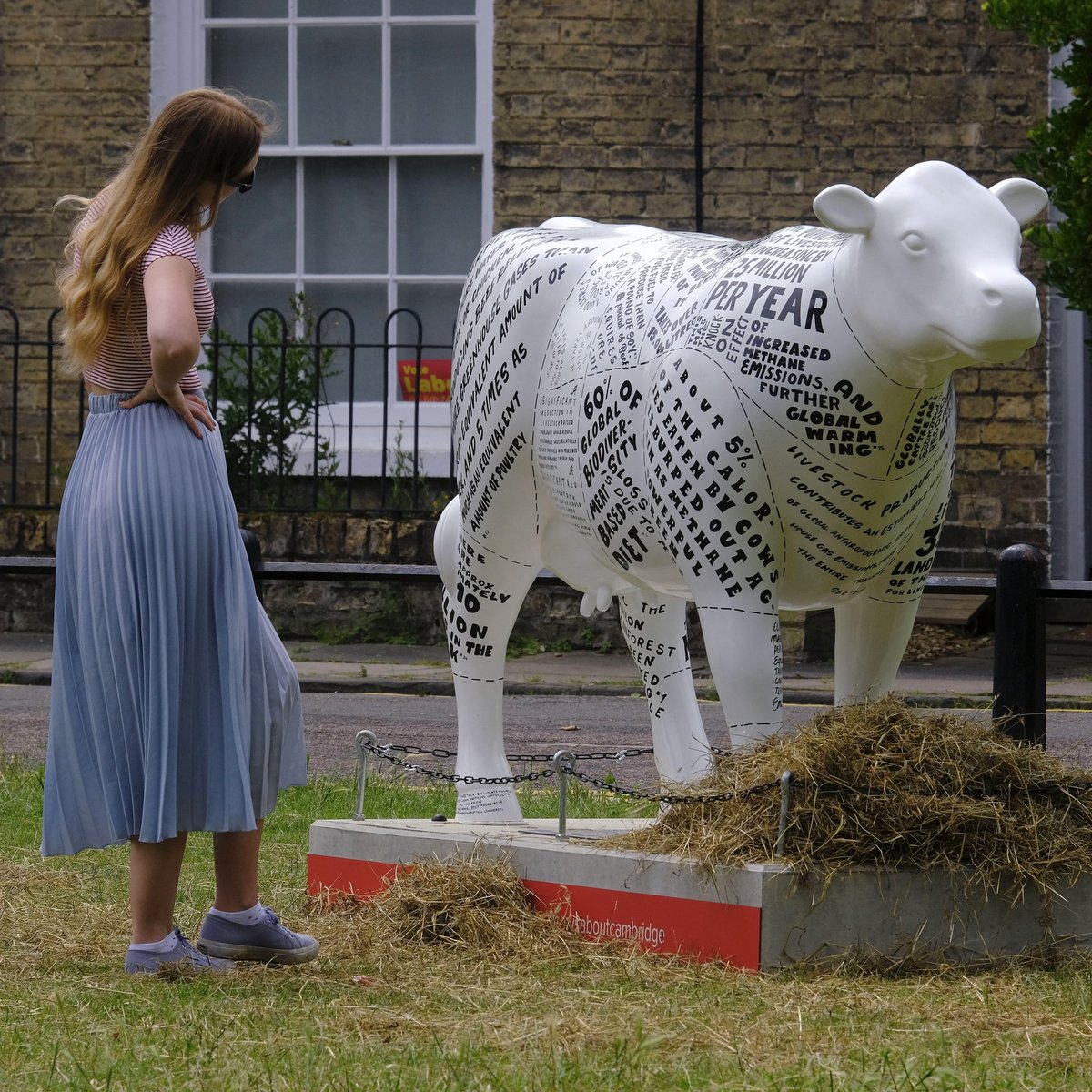 It’s #earthday 🌍

We’re throwing it back to our @CowsaboutCambs 2021 trail where Moss Cow and Environmoontal Cow led the conversation on climate-positive changes! 

Find out how here facebook.com/276288999812/p…