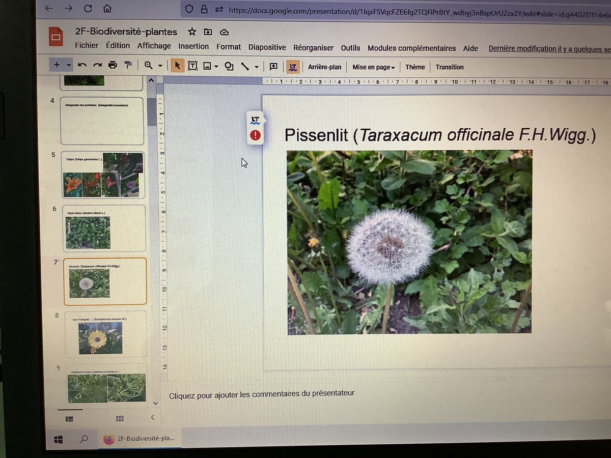 NLepouder's tweet photo. Et c’est parti pour l’inventaire des plantes du lycée avec #PlantNet et les #Ipad et la réalisation d’un diaporama partagé en mode collectif ! 🤗 #classoom #GoogleSlides
#biodiversite #SLLPND https://t.co/CZl3AIXyOw