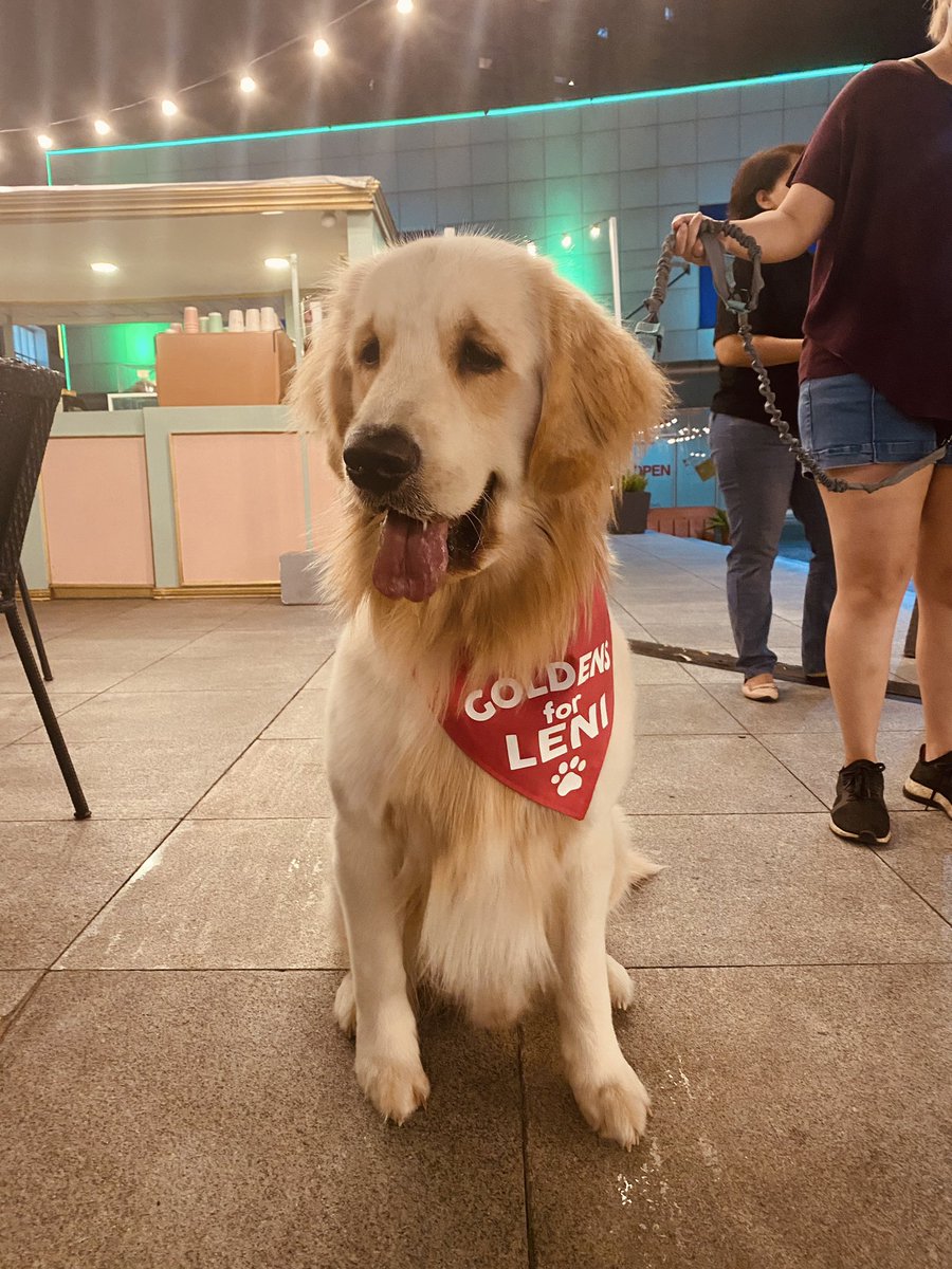 dithbueno's tweet photo. GOLDENS for @lenirobredo 
#IpanloNa10ToParaSaLahat 
#LeniKikoAllTheWay 
#GobyernongTapatAngatBuhayLahat https://t.co/am0gm42FyU