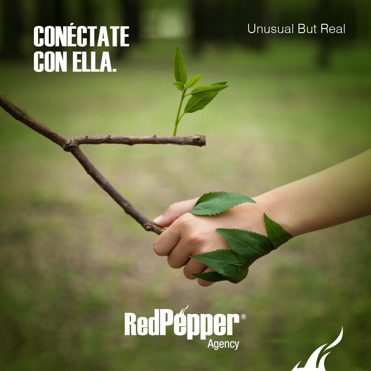 RedPepperAgency's tweet photo. 🌎🍃🌱 #DíaDeLaTierra https://t.co/OCuXvOoXOJ