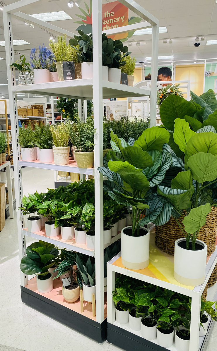 GraceAtTarget's tweet image. Greenery Shop refresh 🪴Thank you to our homeflat DBO Nicole for all her help with this set ✨💚✨ @NicoleV54796811 @anjiebianco3 @_TheNickOwens @settoselltarget