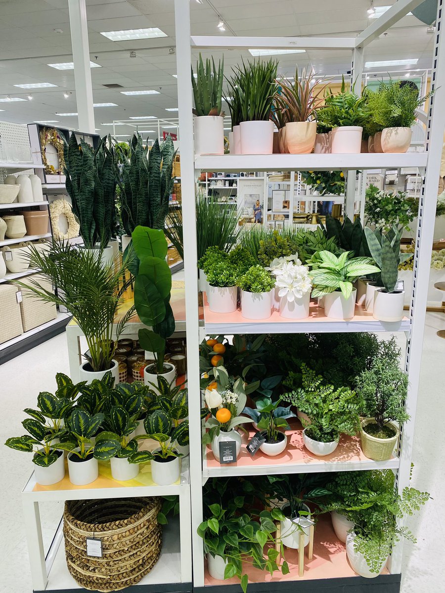 GraceAtTarget's tweet image. Greenery Shop refresh 🪴Thank you to our homeflat DBO Nicole for all her help with this set ✨💚✨ @NicoleV54796811 @anjiebianco3 @_TheNickOwens @settoselltarget