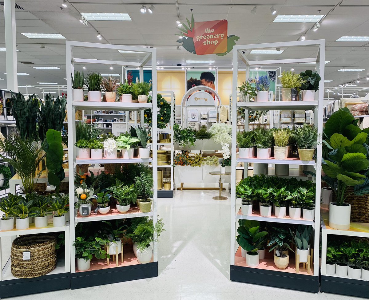 GraceAtTarget's tweet image. Greenery Shop refresh 🪴Thank you to our homeflat DBO Nicole for all her help with this set ✨💚✨ @NicoleV54796811 @anjiebianco3 @_TheNickOwens @settoselltarget