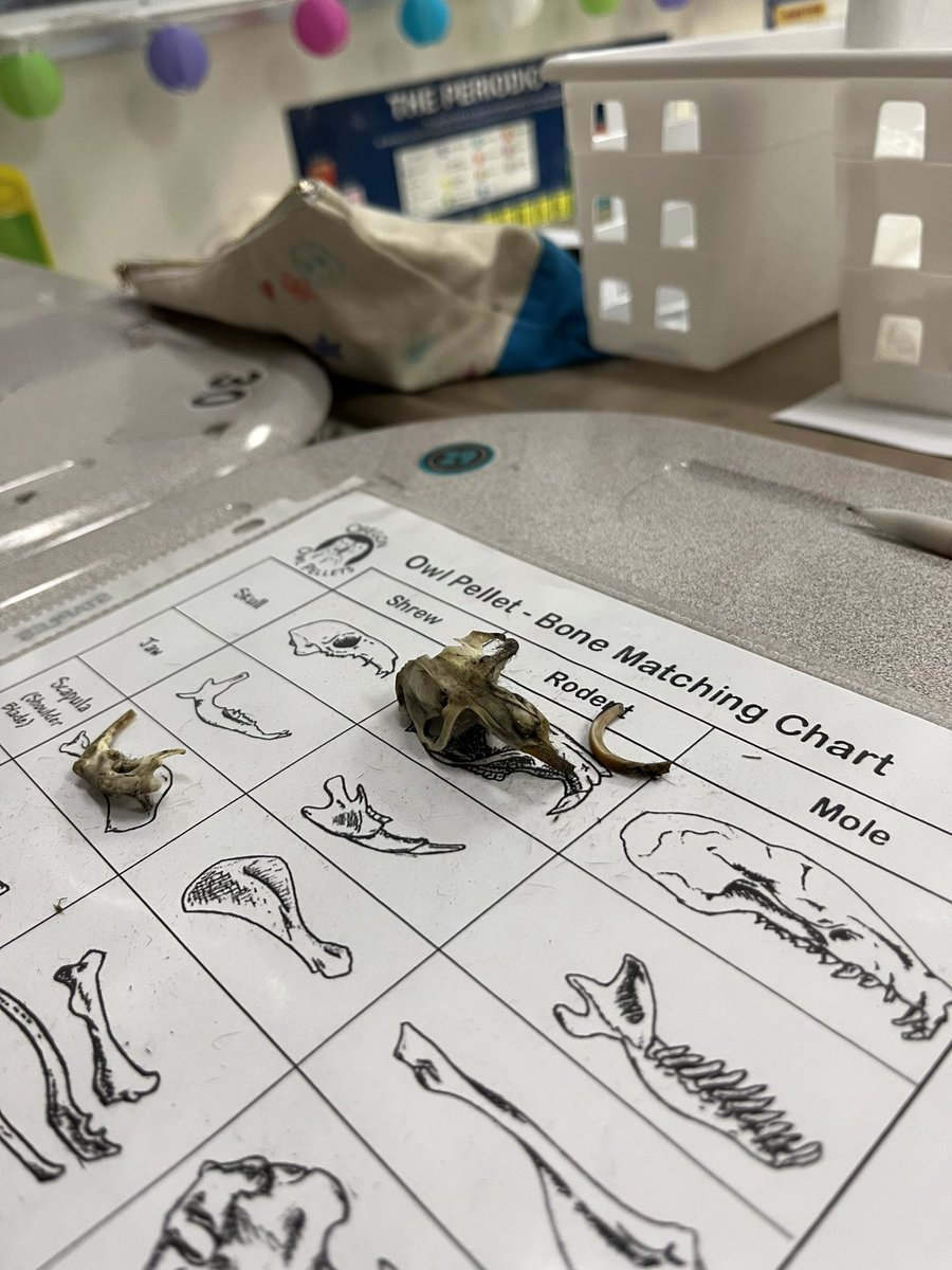 Misty Avila tweet media