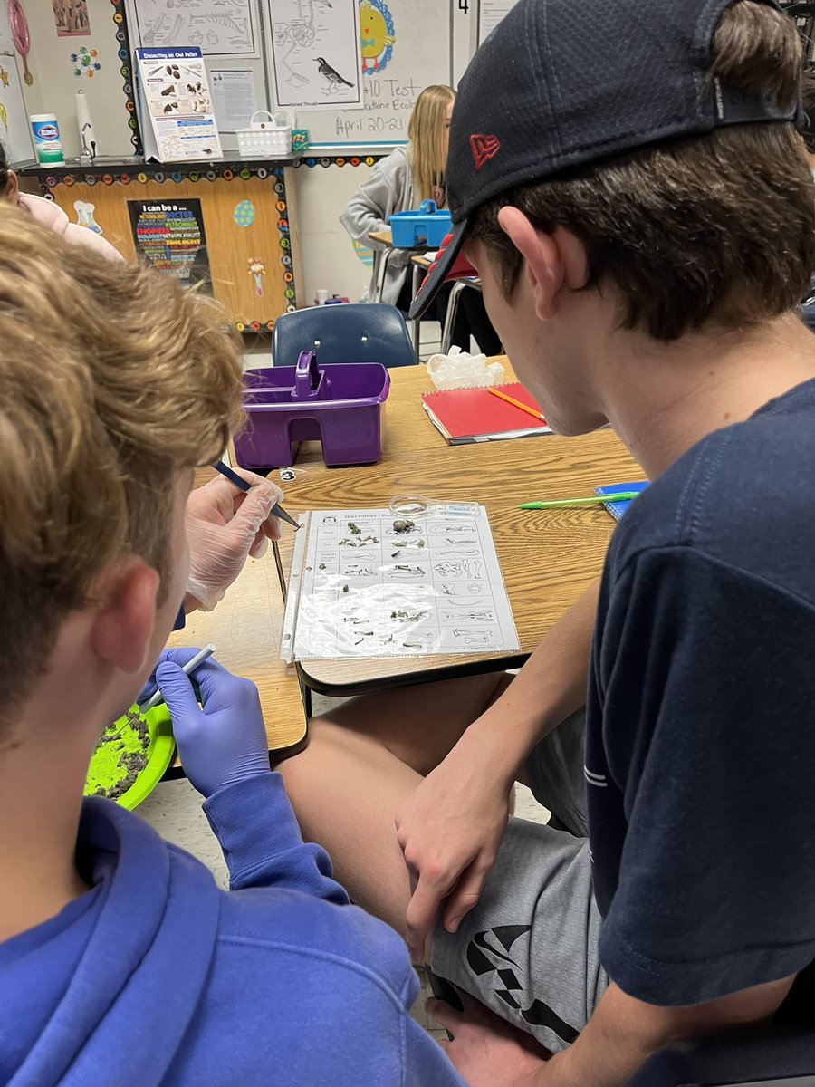 Misty Avila tweet media