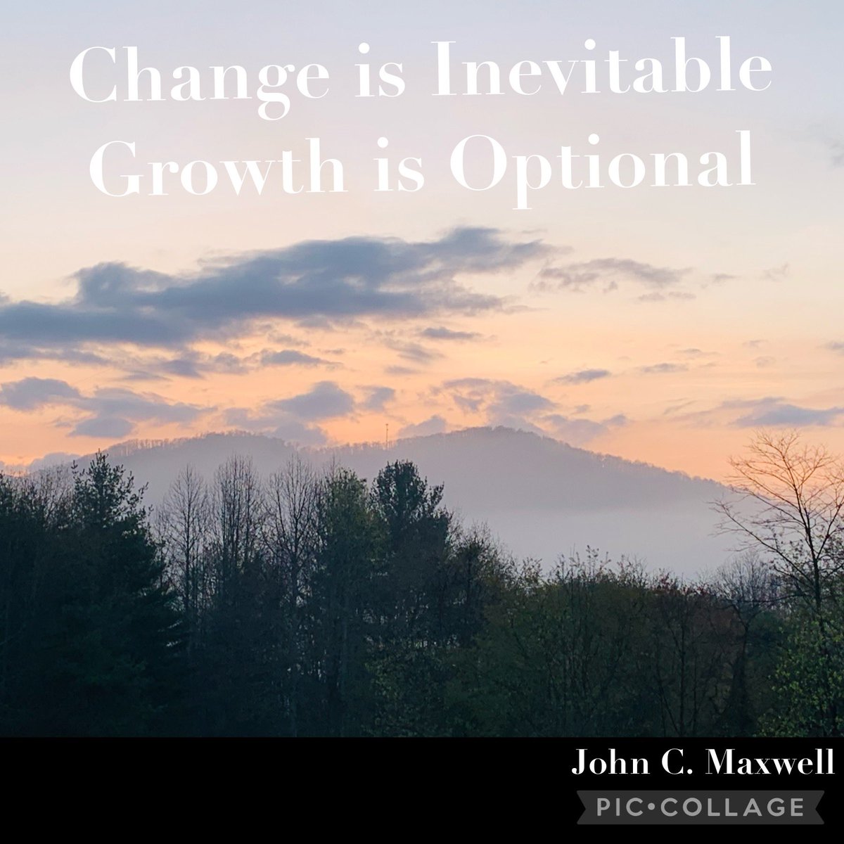 Sherri Tant Barham tweet media