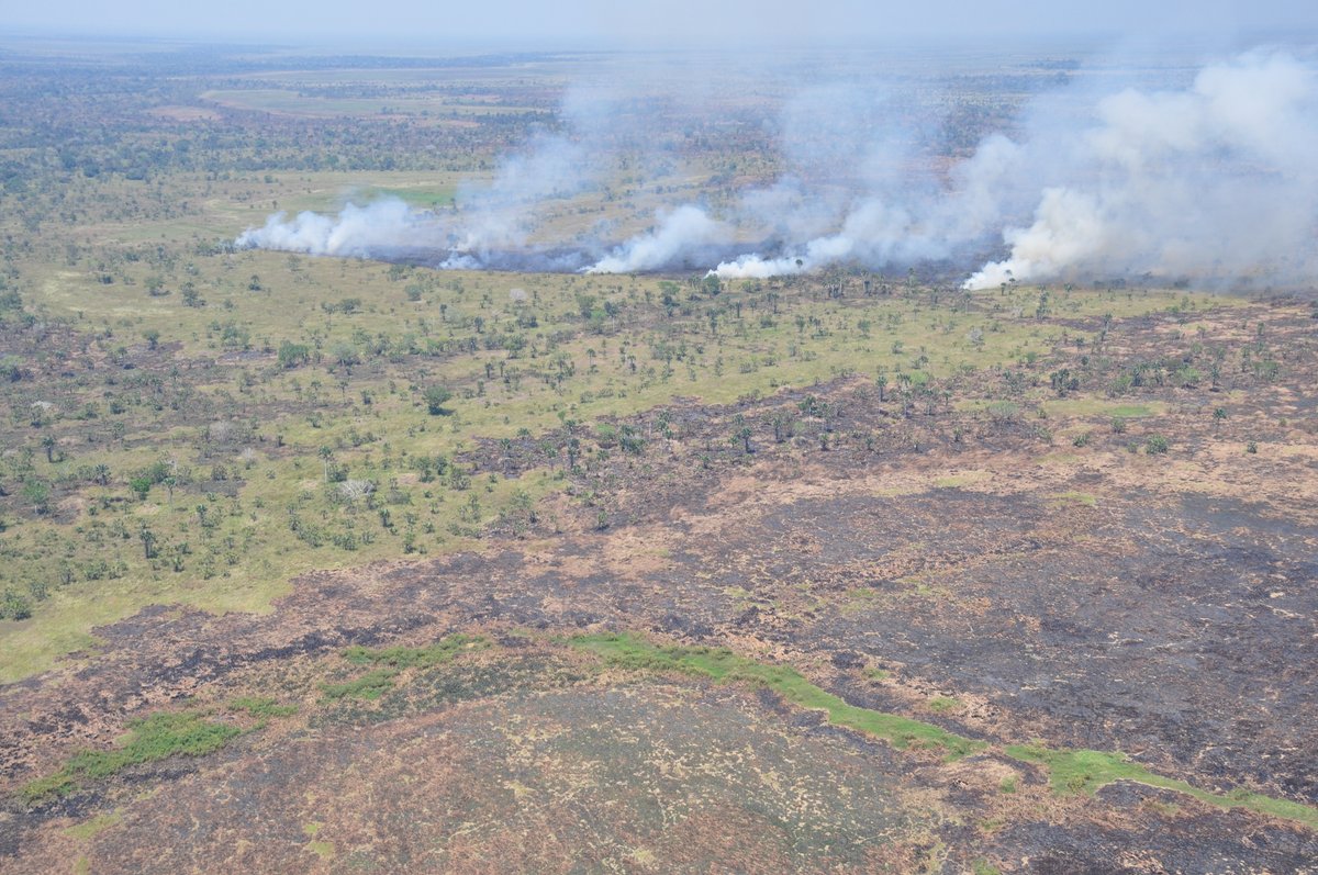 "The #Earth deserves protection and care for it to produce a better yield from our seeds. Our planet is 😔 overexploited, let's invest in this wonderful heritage for the next generation." : @IsabelleKy #ClimateQuote #InvestInOurPlanet #InternationalEarthDay <a href="/gggi_hq/">GGGI</a>