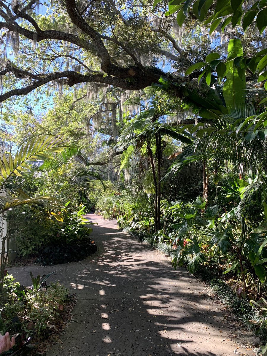 QuietlyClicking's tweet photo. Here’s a green sensory boost for your Friday morning! Can you smell those sunny leaves?

 #GoOutsideToday #FridayVibes #FridayFeeling #Forests https://t.co/hxxoAF7Lra