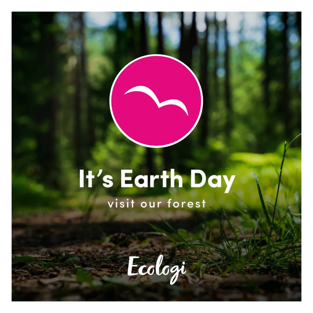 Happy Earth Day! Let’s work together to put the environment first. Visit our Ecologi forest to see how <a href="/Ecologi_HQ/">Ecologi 🌍</a> is using our contributions: buff.ly/3uY4P2x

#EarthDay #EcoFriendly #ClimateChange #Sustainability #ThePowerOfPossible #InvestInOurPlanet #EarthDay2022