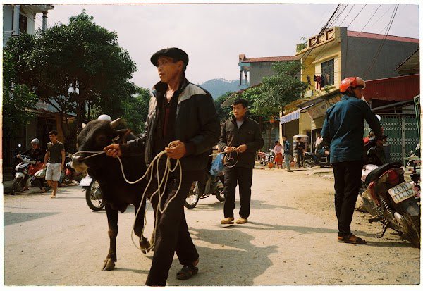 onemomentnft's tweet image. ‘To Market’

0.015 Eth

Two men lead their cattle to the market in Ha Giang Province, North Vietnam. Moment captured November 2019

opensea.io/collection/one…

#NFTs #NFTphotography #vietnam #asia #photography #people #openseaNFT #NFTCommunity