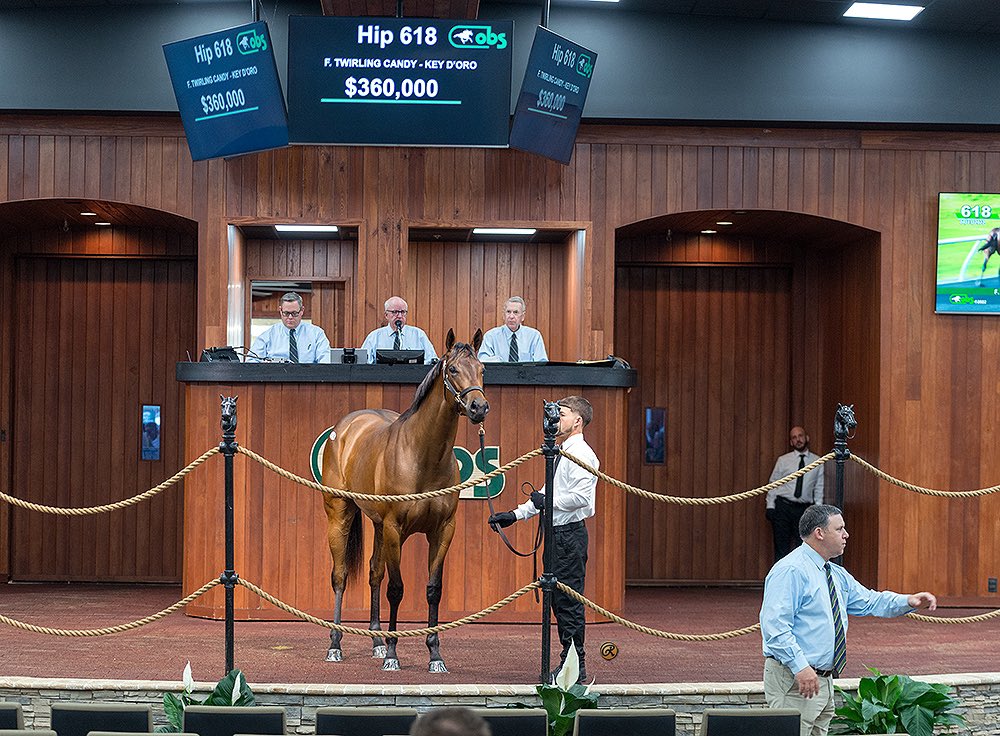 We are thrilled with the sale of Hip 618 🏇🏿💨 Best of luck to her new connections Scott and Evan Dilworth LLC 👏🏼

💲3️⃣6️⃣0️⃣,0️⃣0️⃣0️⃣ for this gorgeous filly by @lanes_endfarm Twirling Candy🍬
We love what we do❤️

📸 @limelightf

#globalthoroughbreds #globalgradute #obs #ocala