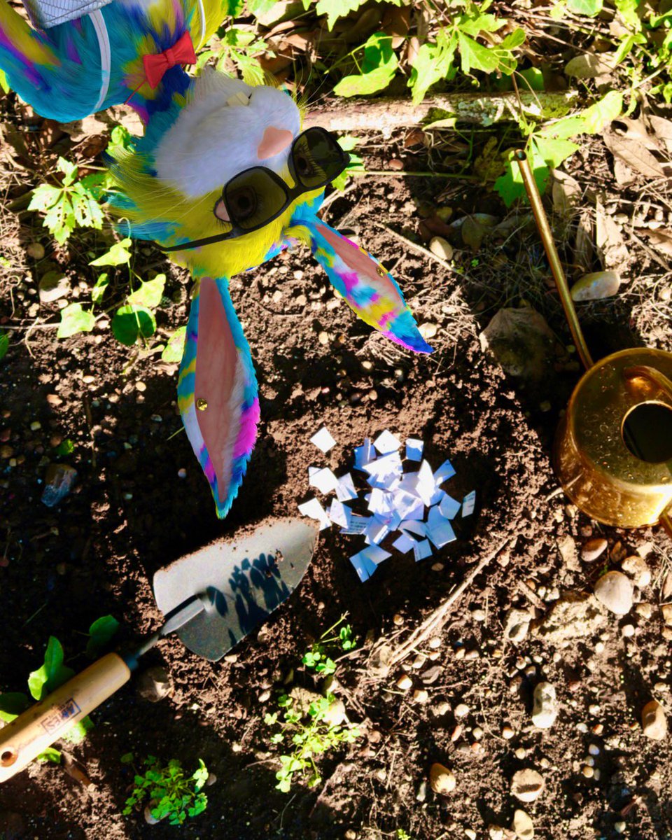 Flufficia's tweet photo. #happyEarthDay2022 shout out to all my fur babies. What’s your contribution to this planet? I’m planting some flowers 🌺 &amp; carrots 🥕 w/my seed paper boxes. 🐰💕#savetheplanet @flufworld @partybearnft #Flufficia #FLUFworld #flufflefollowfluf #seekers #TheFound https://t.co/dzP4X8xqra