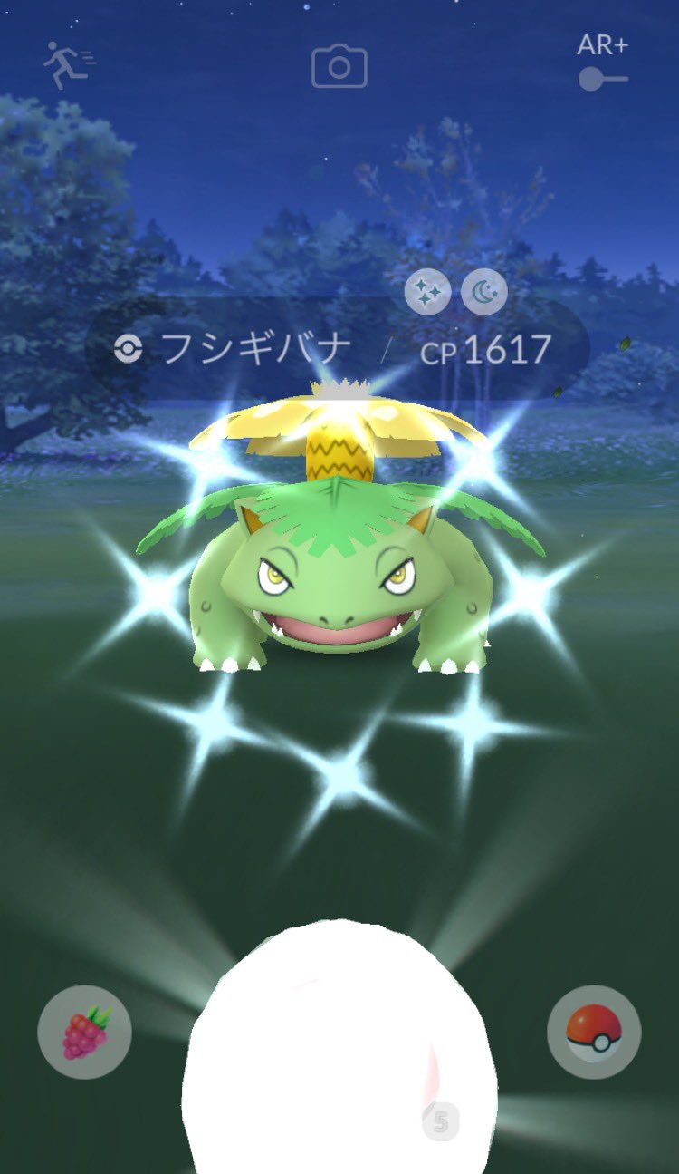 キタカズ ポケgo北海道 Kitakazu00 Twitter