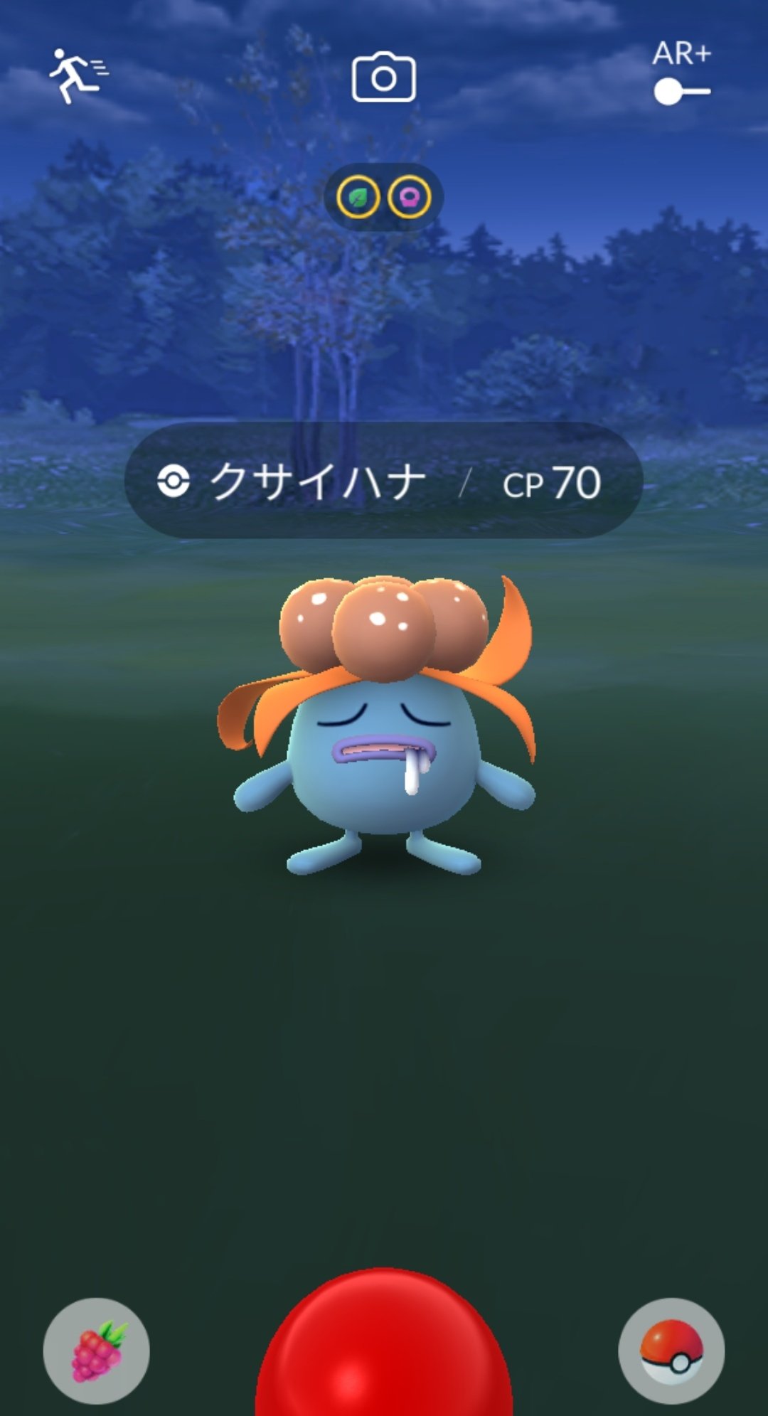 Least リースト Shiny Serperior Twitter