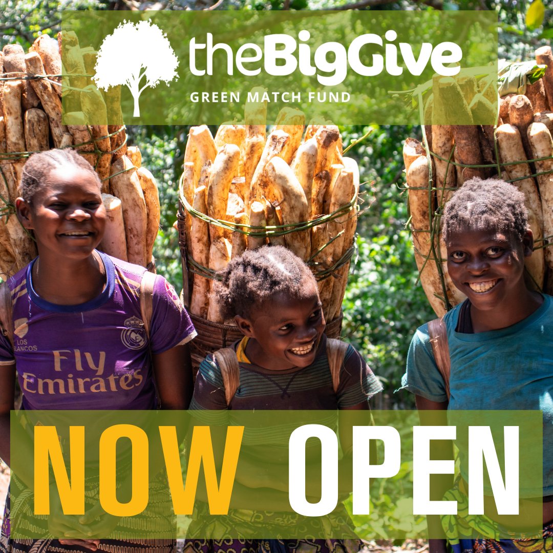 RainforestFoundation on Twitter "This earthday we launch our BigGive