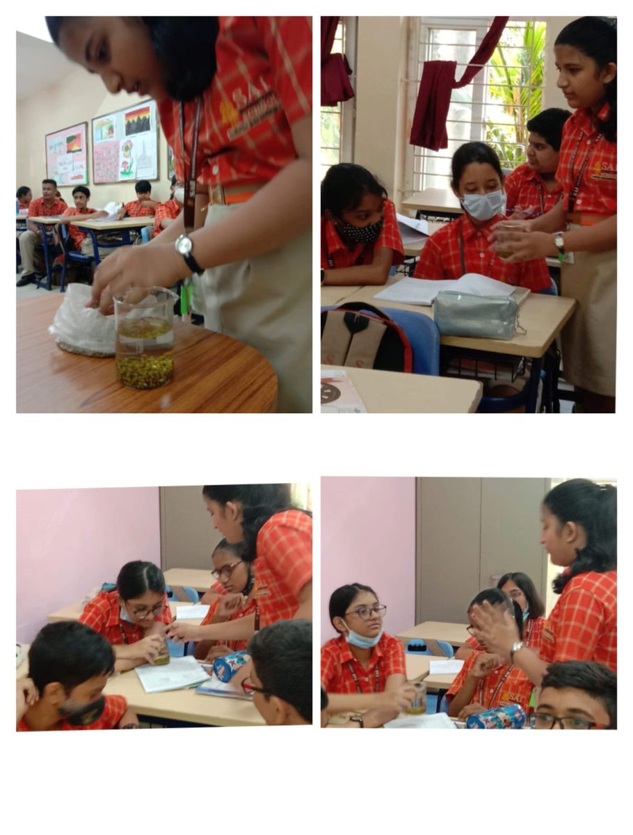 SAI_Edu_In's tweet photo. Peer Engagement in Bio Class
If you can't explain it simply, you don't understand it well enough.
Peer engagement forges powerful links between teacher learning and student growth.
#PeerTeaching
#ResponsibleLearners
#EngagedClassroom
#Criticalthinking
#Collaboration https://t.co/mp6ZUM83v7