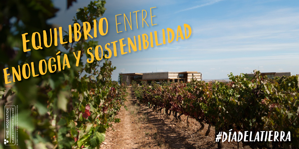 Nuestra bodega es un equilibrio entre enología, arquitectura y sostenibilidad. Está construida bajo tierra. Así consigue las condiciones idóneas para la elaboración y crianza del vino.

#DecantaLaVida #CampoViejoRioja #DiaDeLaTierra2022  #DiaDeLaTierra