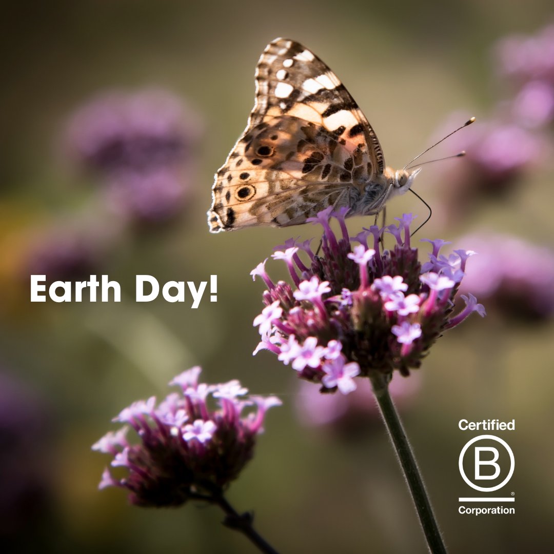 LafesNatural's tweet photo. #EarthDay 🌍 is an invitation to remember that our actions can contribute to the regenerative cycle of nature. On this day, we strongly reaffirm our commitment to contributing to a better present and future for all. ​

#earthdayeveryday #earthday #naturalforall #bcorp https://t.co/OIpk5Zs2Ra