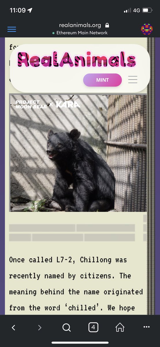 RealAnimals_RA's tweet image. Another RA Holder met their REAL ANIMAL! 🥳🥳🥳 

Chillong the Moon Bear had a tough beginning, but it’s all smooth sail ahead!!! 
#woofam