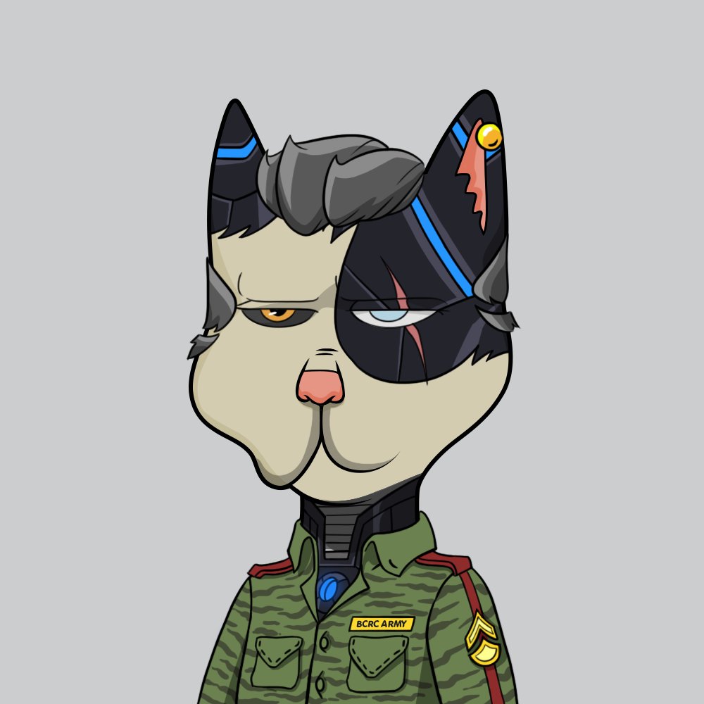 Boss Cat Rocket Club Sales tweet media