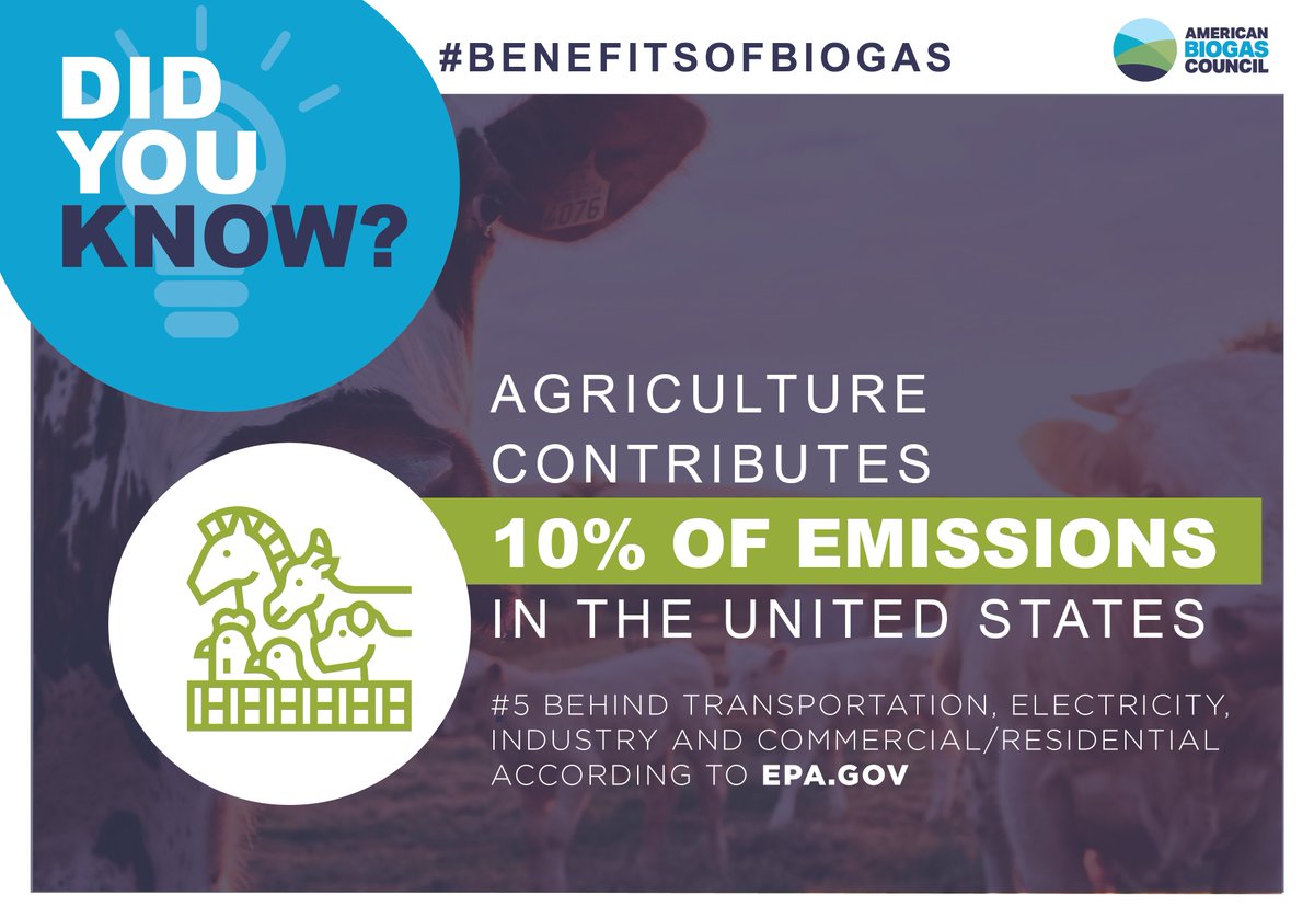 Livestock’s role in greenhouse gases often gets overstated. Learn the facts about Farm Animals and emissions 🐄🐄#BenefitsofBiogas americanbiogascouncil.org/livestocks-rol…