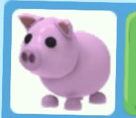 Trading pig #AMTrading #adoptmetrading #adoptmetradings #adoptme #roblox #adoptmetrades #adoptmetrade #adoptmeoffers #adoptmeoffering #adoptmeoofer #playadoptme