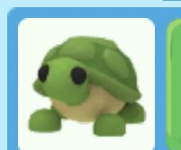 Trading turtle #AMTrading #adoptmetrading #adoptmetradings #adoptme #roblox #adoptmetrades #adoptmetrade #adoptmeoffers #adoptmeoffering #adoptmeoofer #playadoptme
