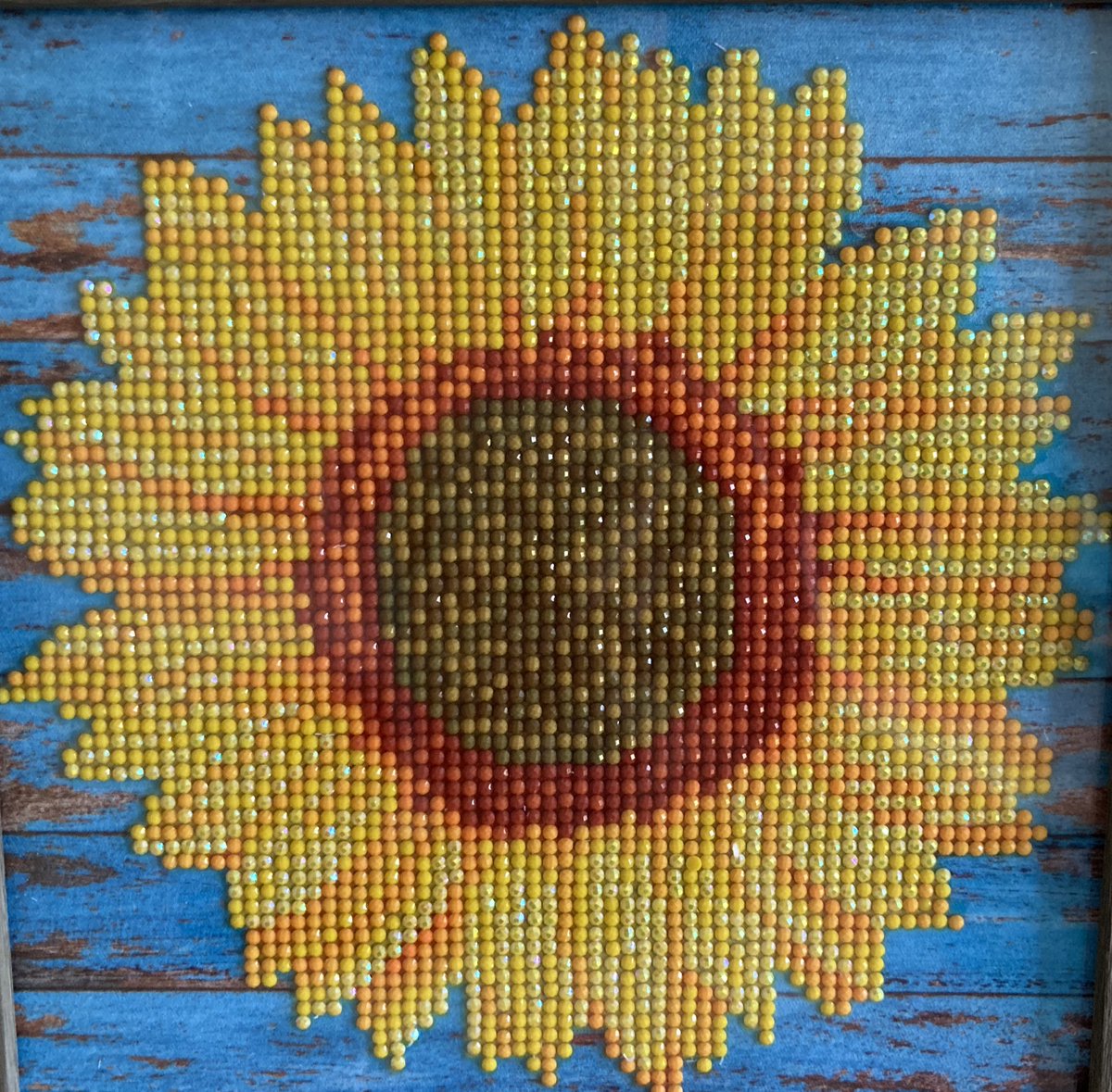 CJ STEMM tweet media