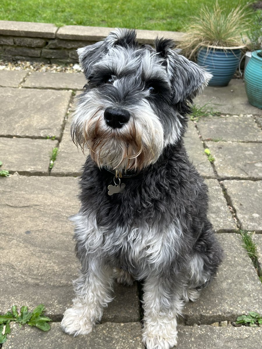 Pippa Crerar tweet media