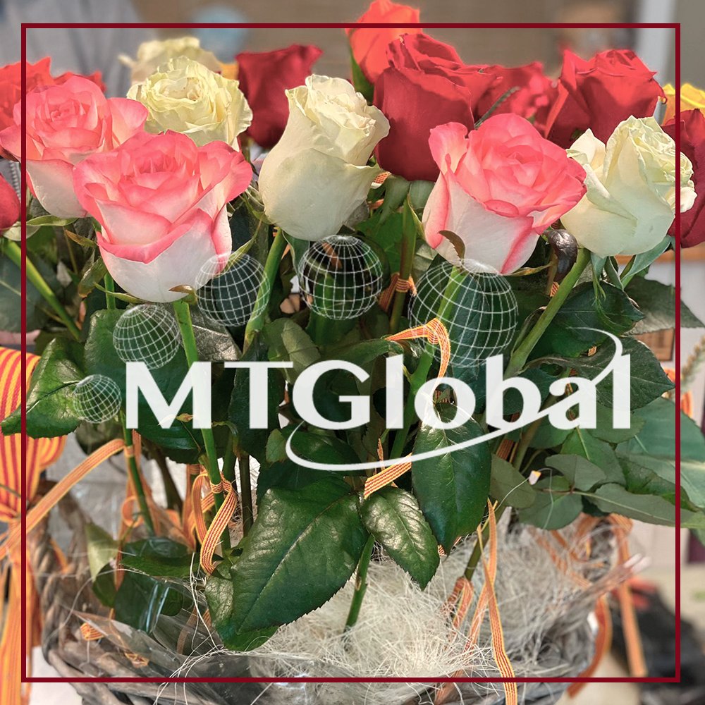 MTGlobal tweet media