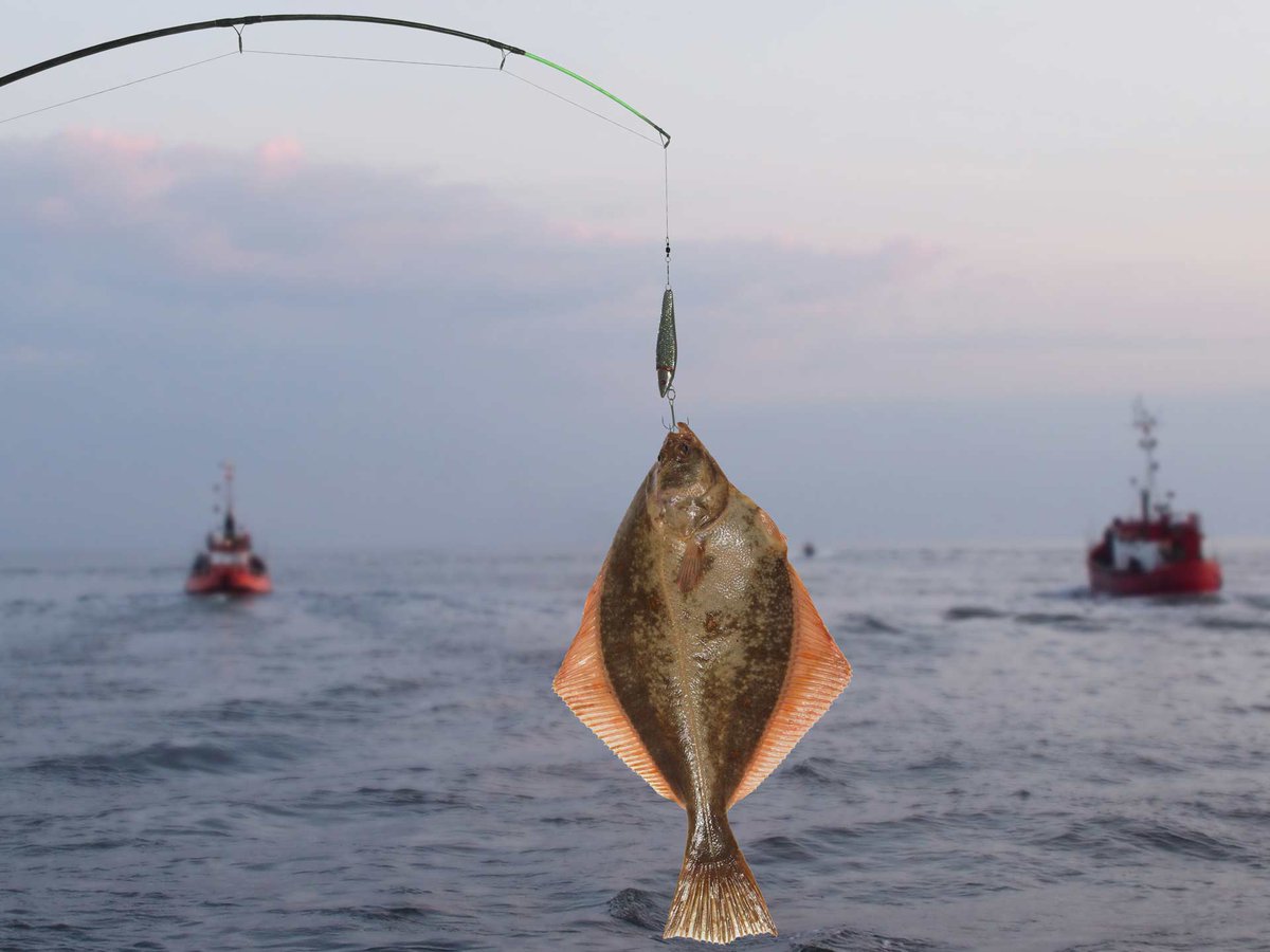 This is how I plan to tackle the North Carolina Flounder fishing season in 2022. wfy.ai/3k51Rmy #Fishing #NorthCarolina #SeaFishing #Flounder #NC