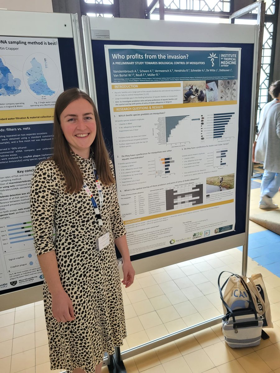 Adwine Vanslembrouck (@adwinev) on Twitter photo Very happy to present our research on Dytiscidae as possible biological control for #Aedesalbopictus during the #icais conference on aquatic invasive species in Oostende! Very happy to present our research on Dytiscidae as possible biological control for #Aedesalbopictus during the #icais conference on aquatic invasive species in Oostende!
