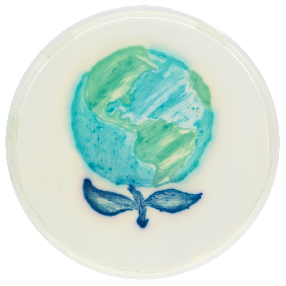 CHROMagar's tweet image. Earth Day 2022 🌱🌏 
Made with CHROMagar™ Pseudomonas

#agarart #chromogenicmediapioneer #chromogenictechnology #chromogenicculturemedia #culturemedia #microbiology #bacteriology #EarthDay #EarthDay2022