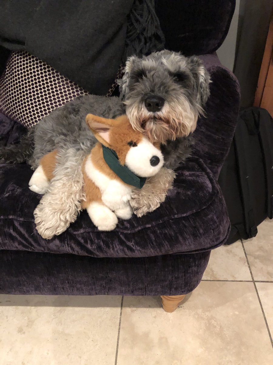 Jon Sopel tweet media