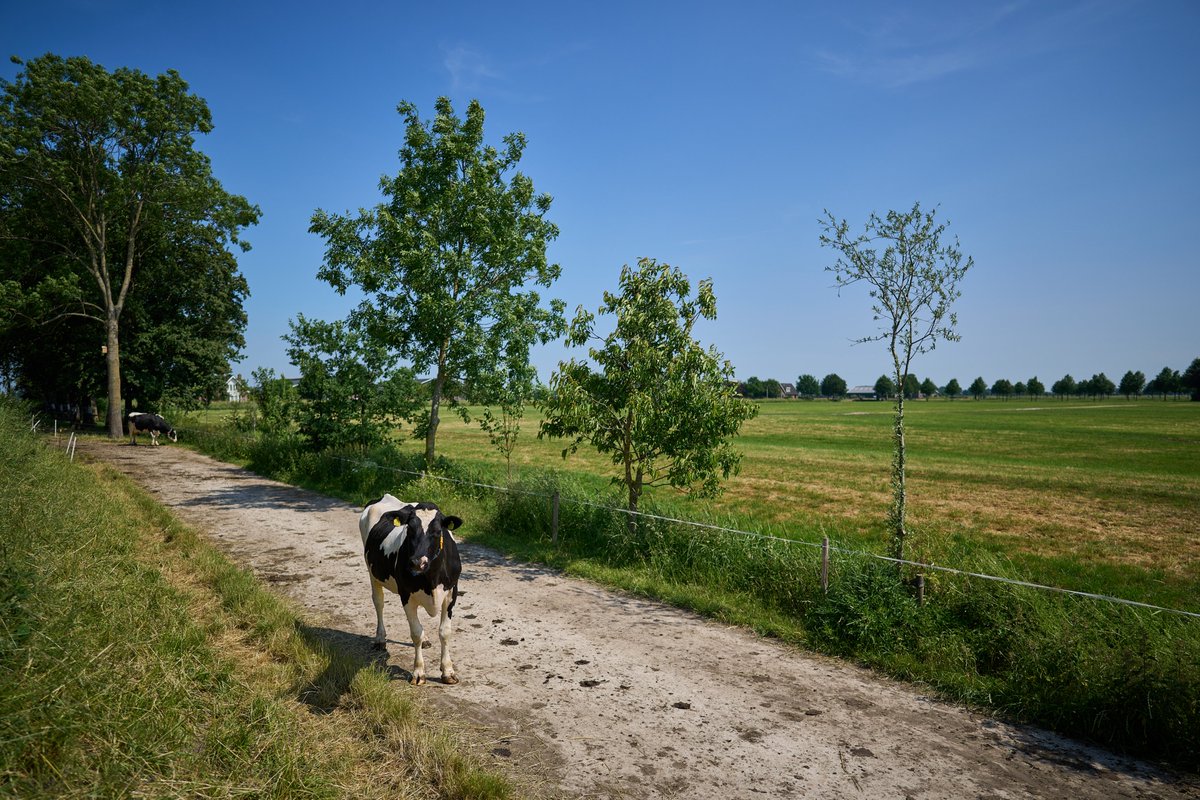 De april-editie van de Nieuwsbrief Netwerk Platteland is uit met o.a. de vacature communicatieadviseur bij het Regiebureau POP en nog veel meer nieuws.
netwerkplatteland.nl/actueel/nieuws…
#POP3
