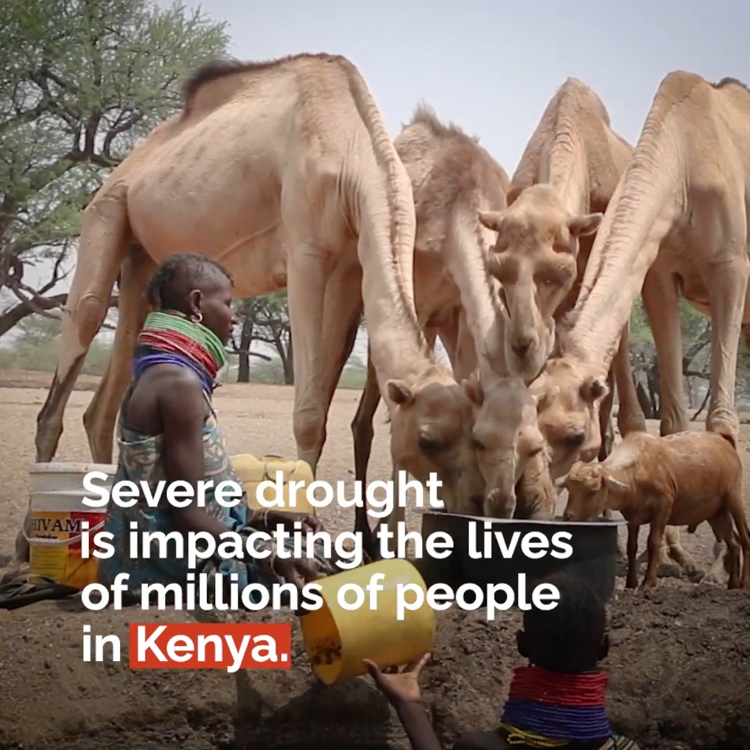 UN Humanitarian on Twitter "📈 The threat of largescale loss of life