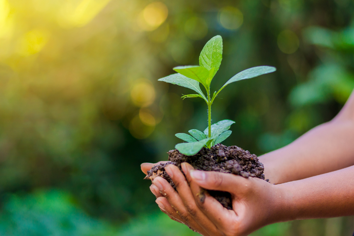 ScottHirschiAFI's tweet photo. Happy Earth Day! What tips do you have to celebrate our earth? Share in the comments below! 🌎🌱 https://t.co/mUTwt1PDsR