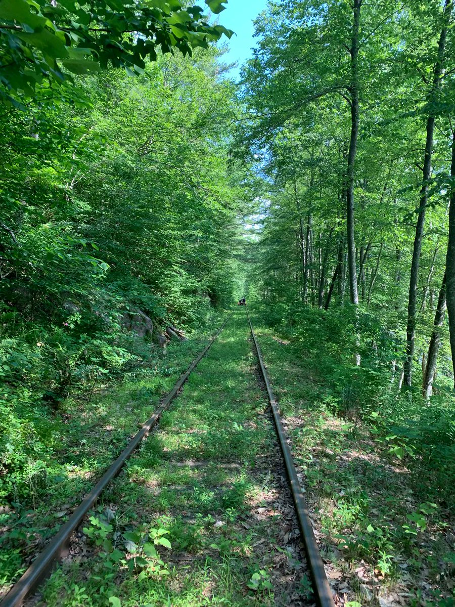 PhoeniciaNYS's tweet photo. Rail Explorers is back for their 4th year! Book your reservation for this unforgettable experience NOW: https://t.co/qdSnKiunJY #phoeniciaNY #phoenicia #catskills #hudsonvalley #upstateNY #escapeNewYork #ulstercounty #outdoors #familyfun #railbikes #railexplorers #funactivity https://t.co/JkewAk9M5X