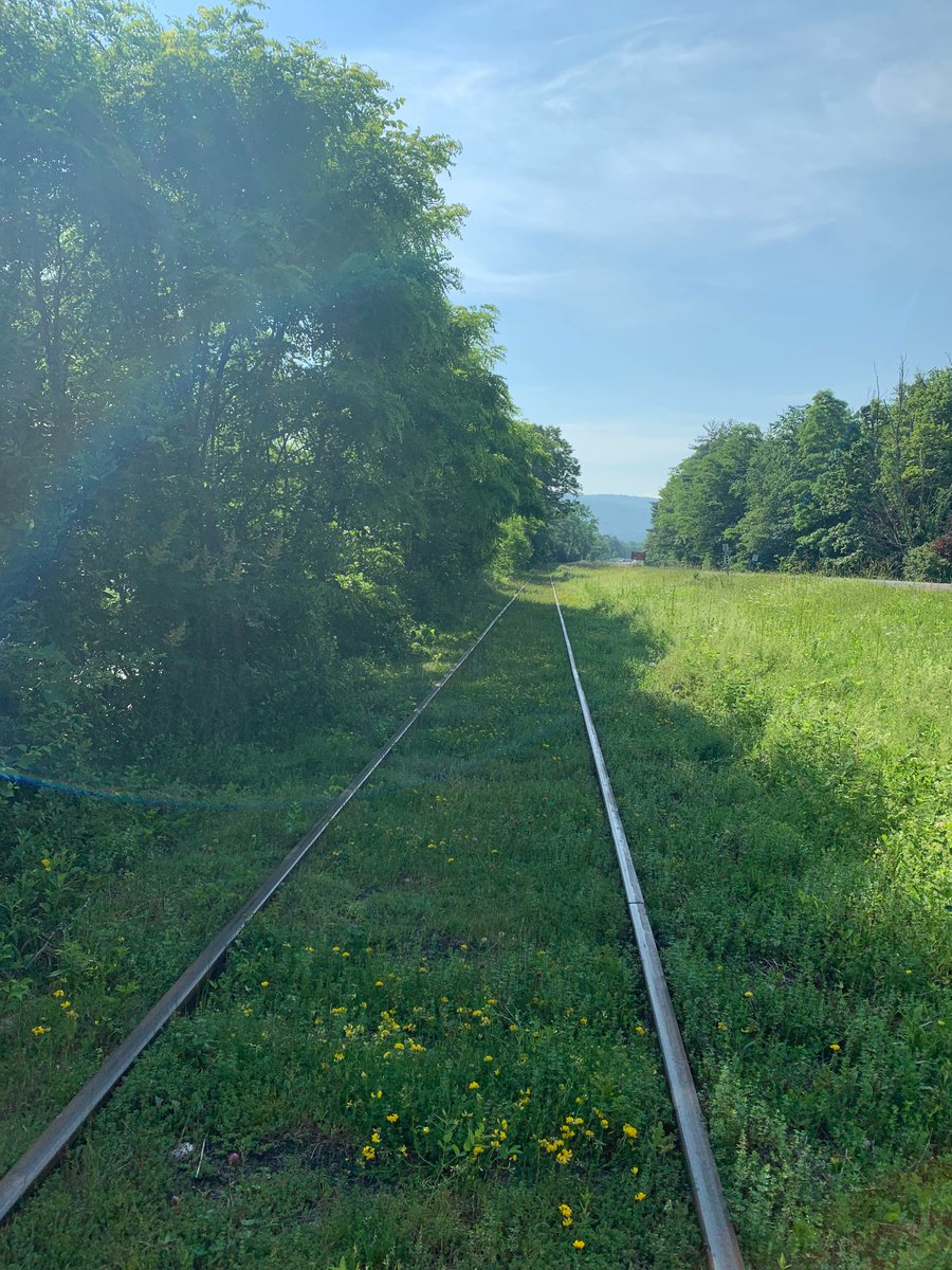 PhoeniciaNYS's tweet photo. Rail Explorers is back for their 4th year! Book your reservation for this unforgettable experience NOW: https://t.co/qdSnKiunJY #phoeniciaNY #phoenicia #catskills #hudsonvalley #upstateNY #escapeNewYork #ulstercounty #outdoors #familyfun #railbikes #railexplorers #funactivity https://t.co/JkewAk9M5X