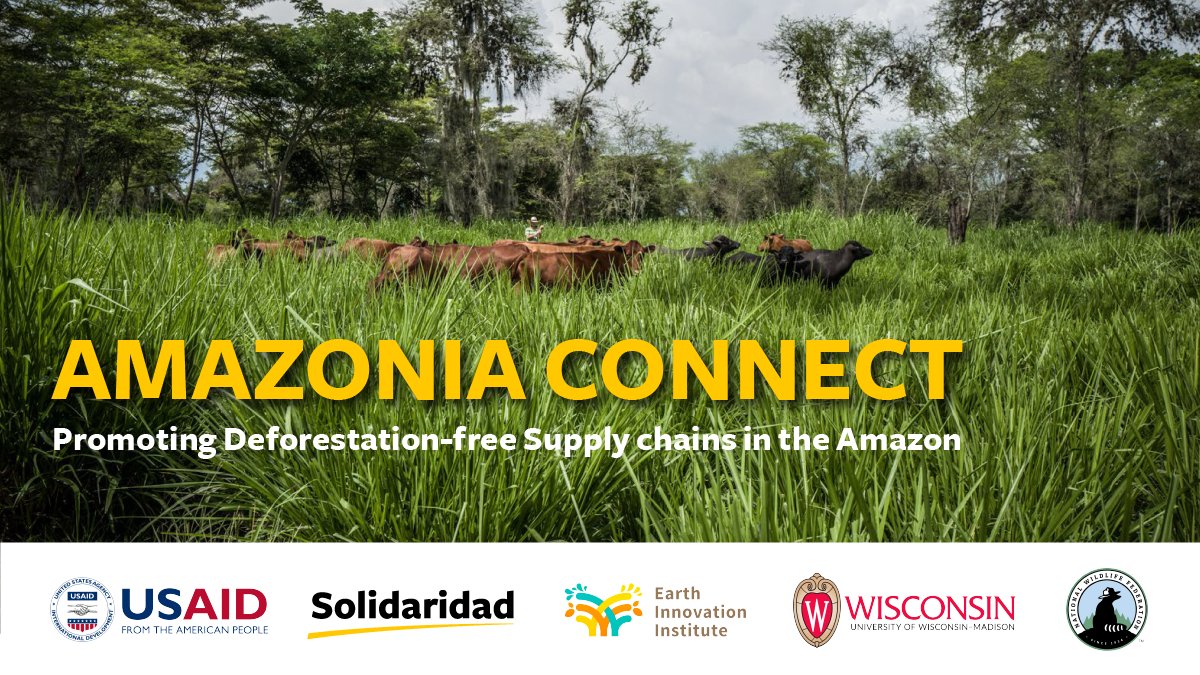 Solidaridadnetw's tweet photo. Protecting the #Amazon has never been so important: That’s why we are thrilled to announce Solidaridad’s new USAID-funded ‘Amazonia Connect’ activity, promoting deforestation-free production in Brazil, Colombia and Peru. Stay tuned for more info!

https://t.co/XWmbOhX5Q8 https://t.co/BsBSlCC4zJ