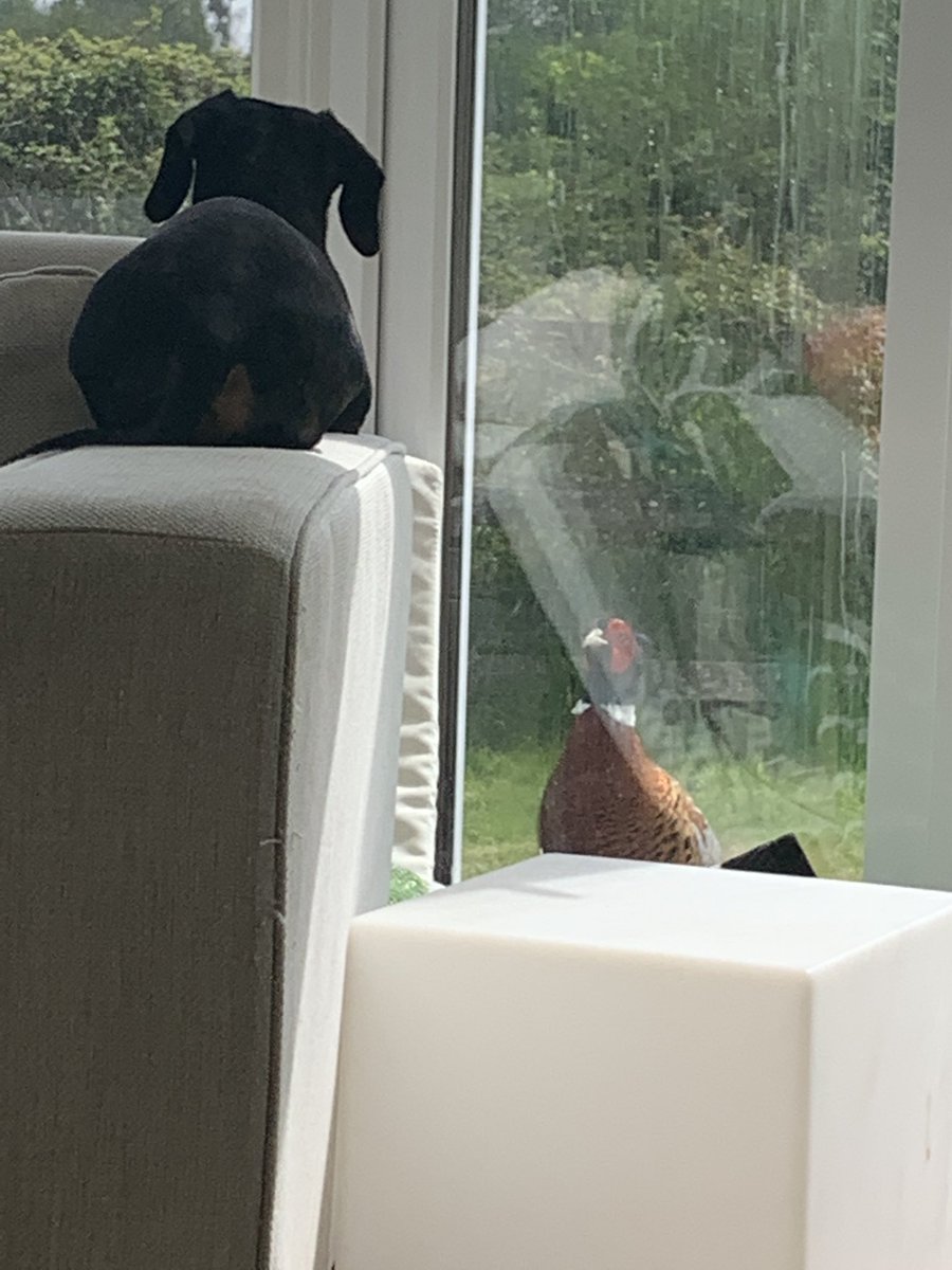 Lucy Speed tweet media