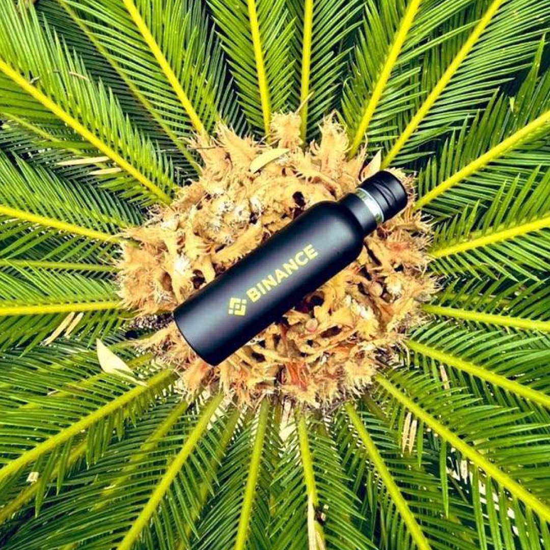 binance's tweet photo. This #EarthDay, we wanted to remind everyone to #InvestInOurPlanet.

Let’s always use our reusable water bottle and bags. Even the simplest actions are possible to protect our planet. https://t.co/8Z2n8wwTmY