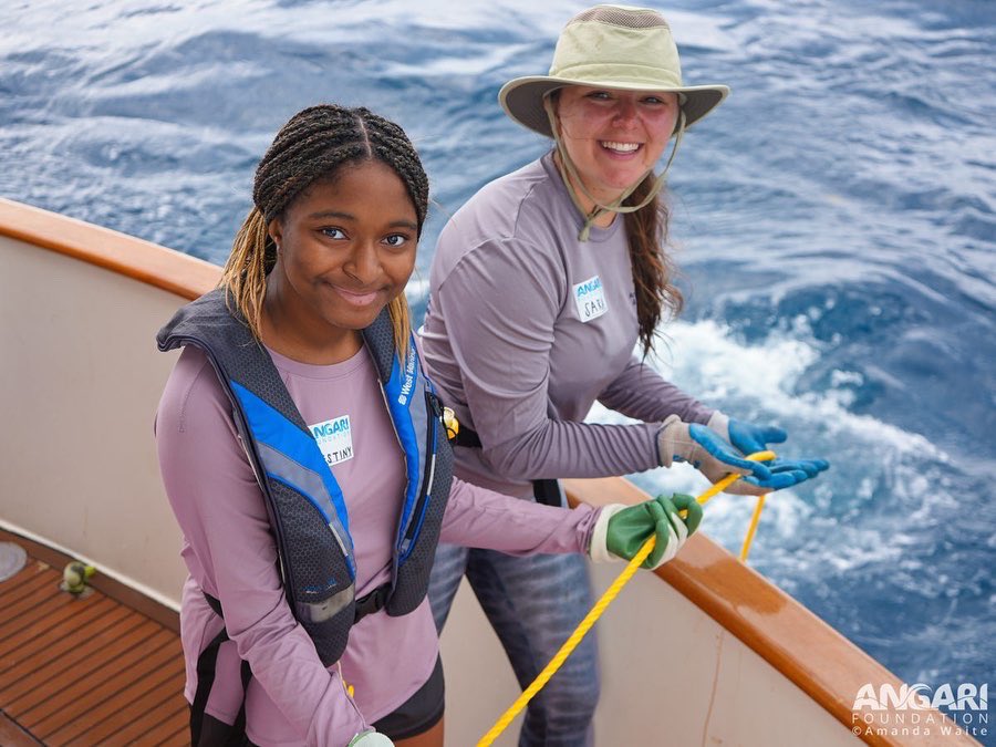 Heithaus Lab tweet media