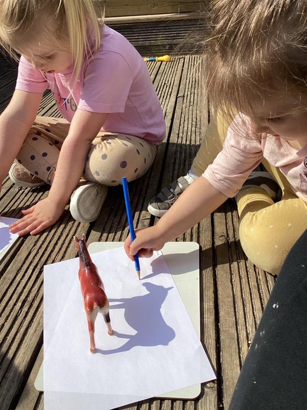 Our toddlers were using their favourite animal's shadows to create their own pictures. 🐯🐯🐸🦏🐘